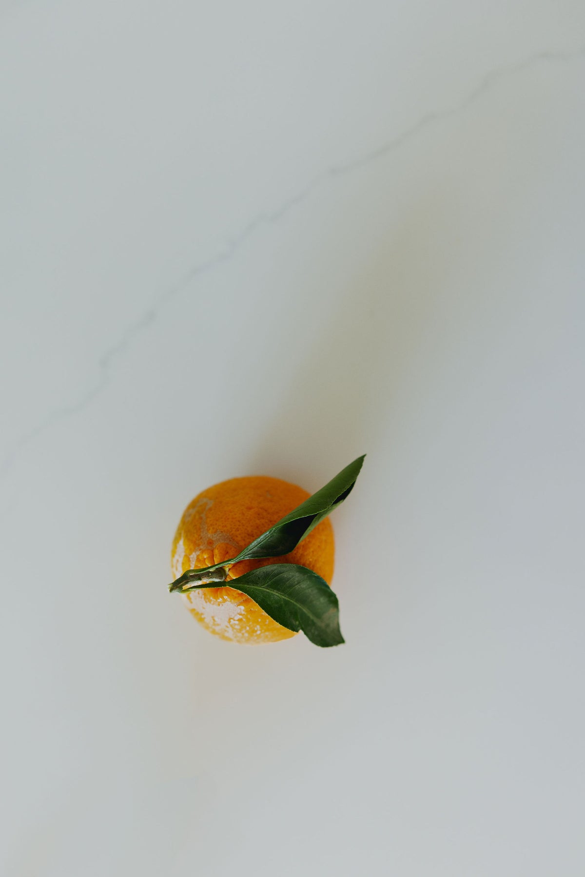 Kishu Mandarins