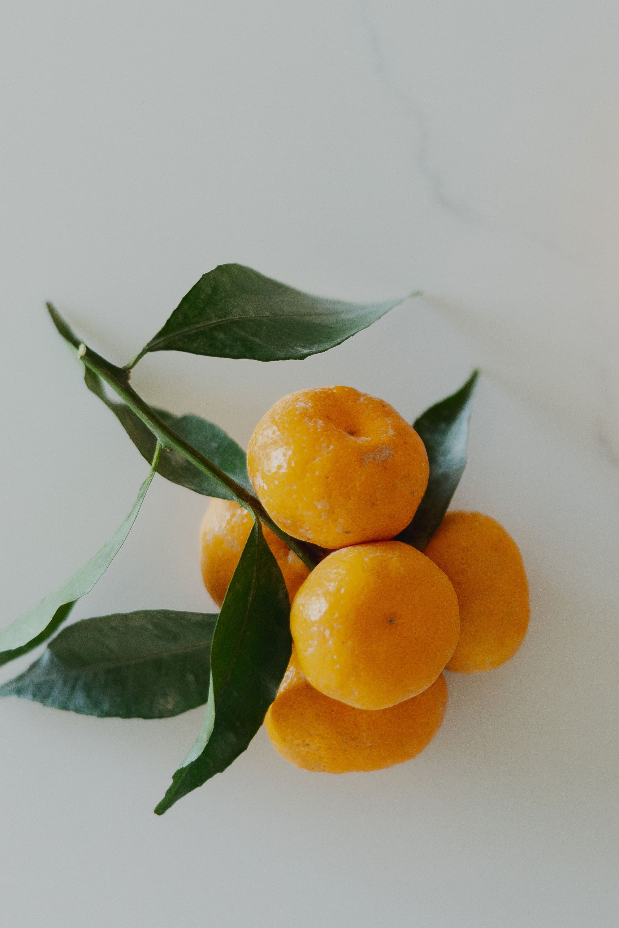 Kishu Mandarins