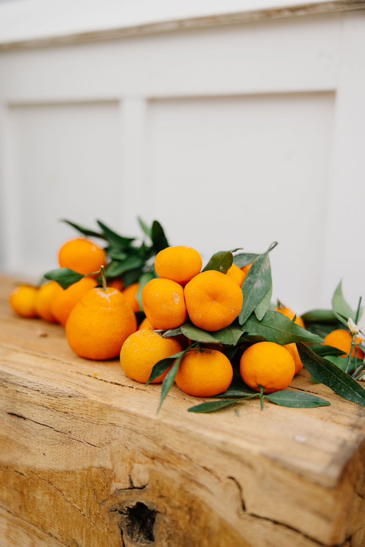 Tango Mandarins