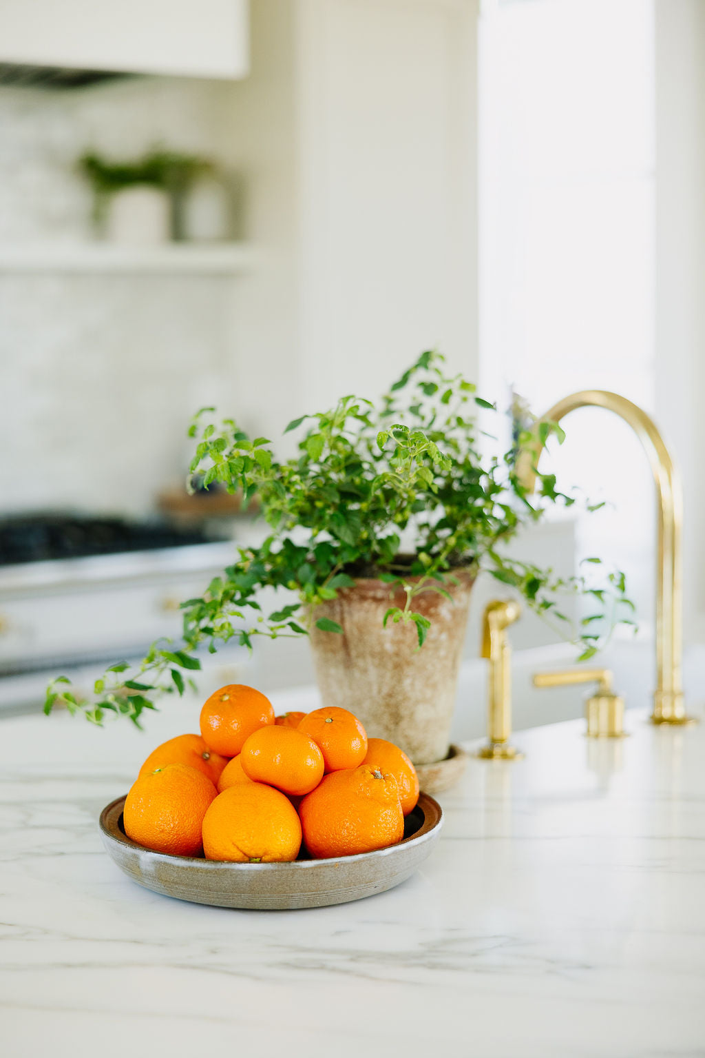 A variety of fresh oranges from Novelty Farming.